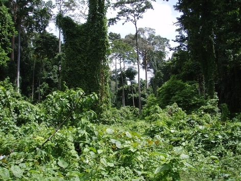 andaman islands