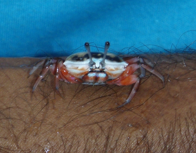 andaman islands