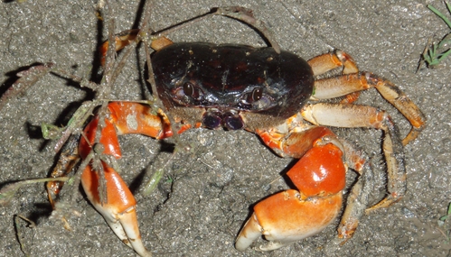 andaman islands
