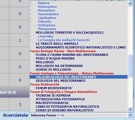 FUNZIONE SCORCIATOIA