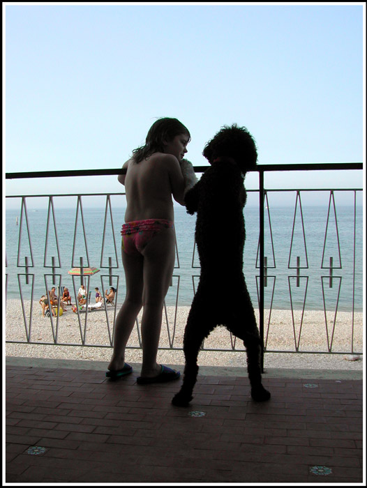 Qui ci sono troppi gatti, apriamo una discussione cani