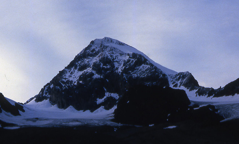 1985...sul Gran Zebrù 3851 m.