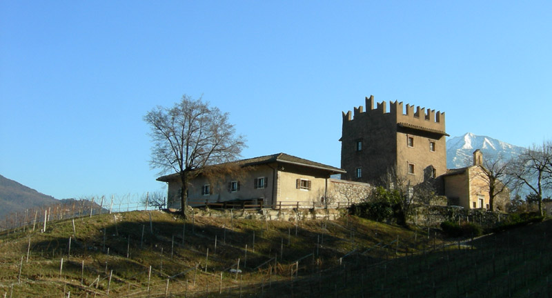 Monumento vegetale: Sorbo Ciavardello ...(Ravina - TN)