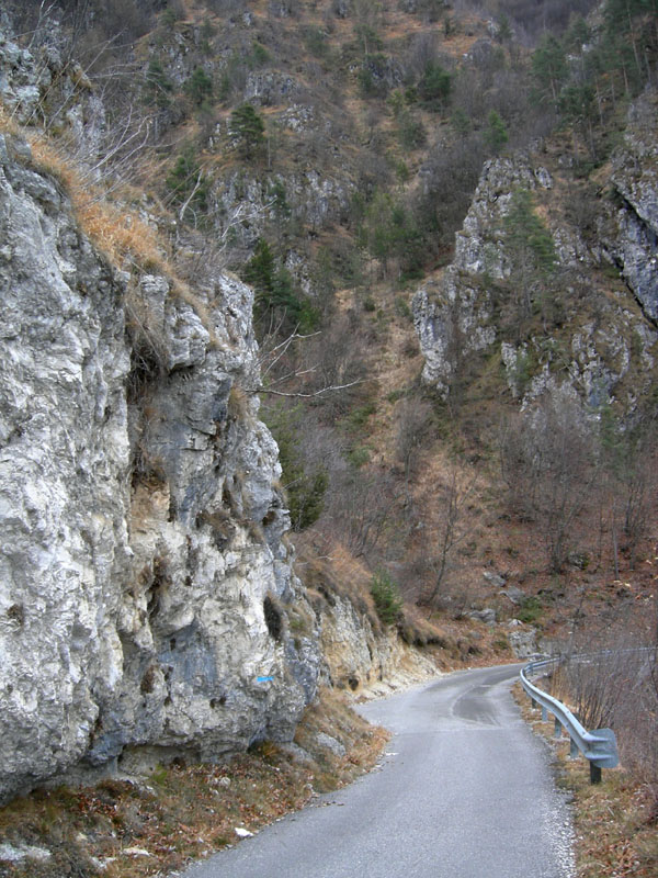 quale Chilostoma ?....Capovalle (BS)