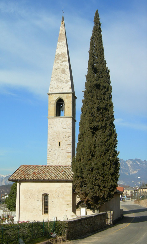 Cipresso....che sfida il campanile (Vigo Meno - TN)