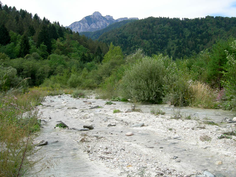 risalita del Torrente Centa.......seconda parte