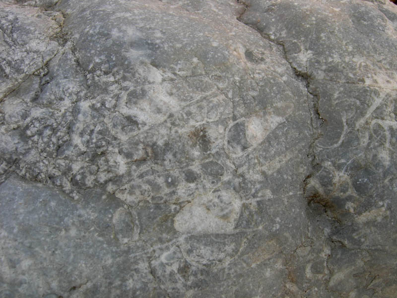 risalita del Torrente Centa.......terza parte