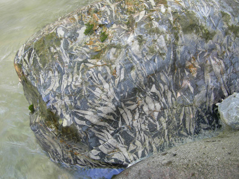 risalita del Torrente Centa.......terza parte