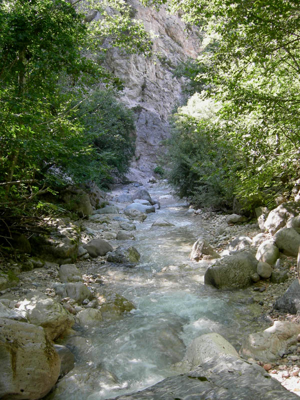 risalita del Torrente Centa.......terza parte