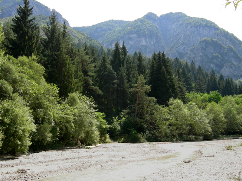 risalita del Torrente Centa.......seconda parte
