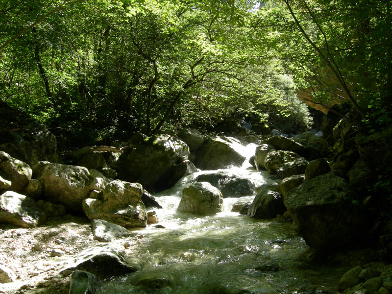 risalita del Torrente Centa.......terza parte