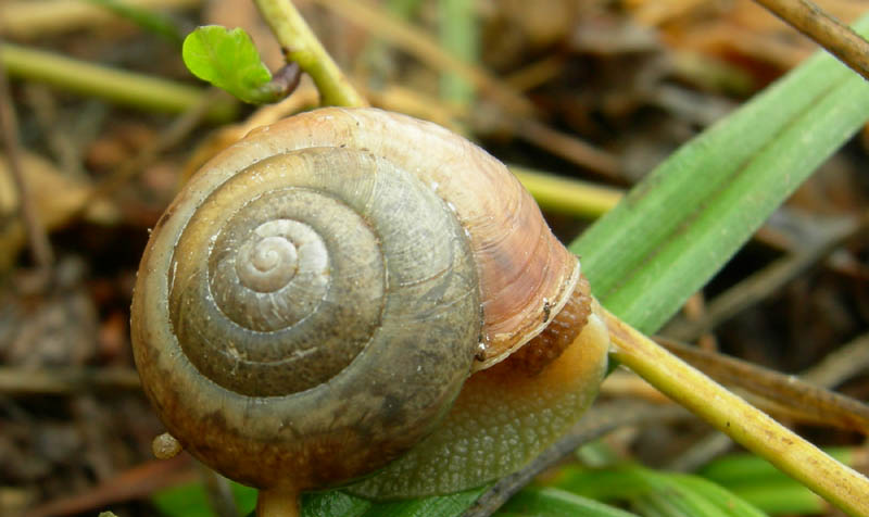 un 