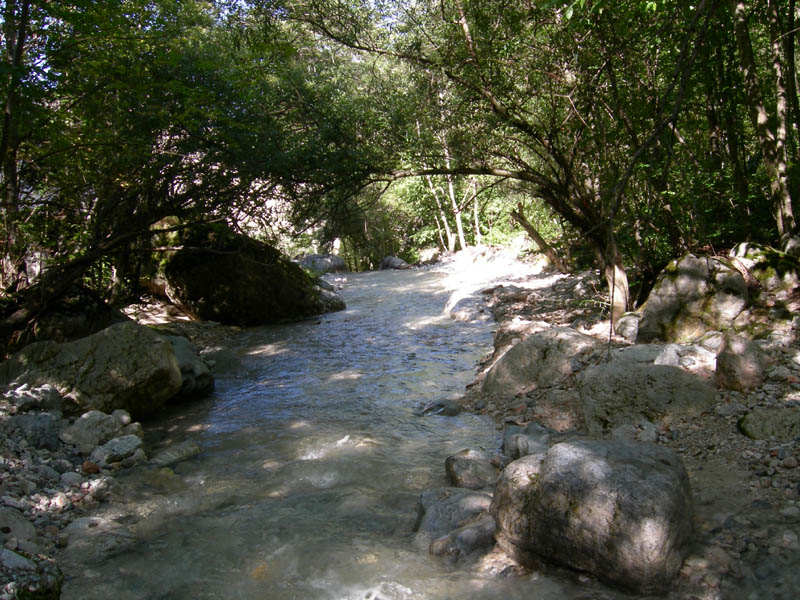 risalita del Torrente Centa.......terza parte