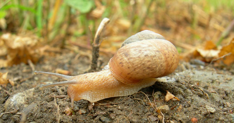 un 