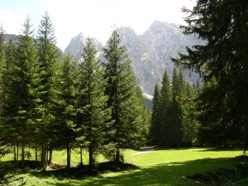 Carinzia (Austria)....a  