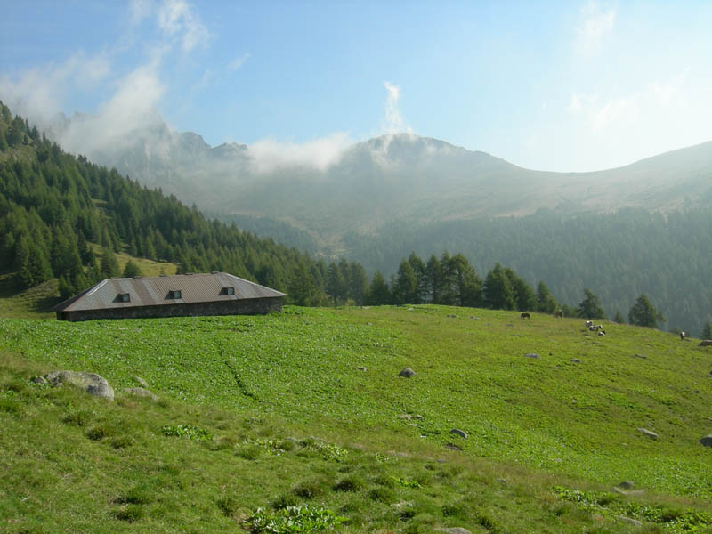 Cimon di Busa della Neve  m. 2574.......escursione