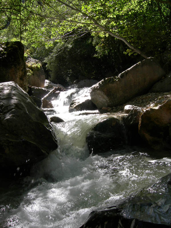 risalita del Torrente Centa.......terza parte