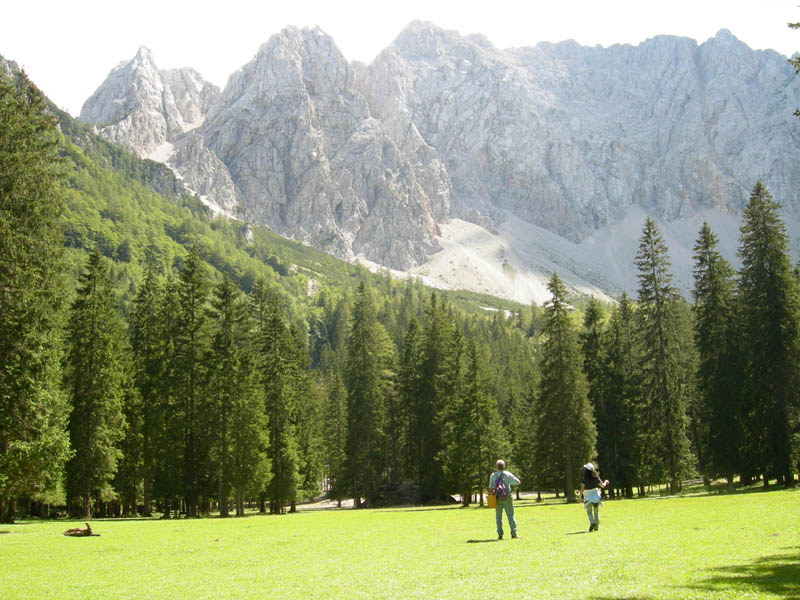 Carinzia (Austria)....a  