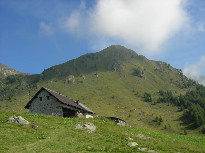 Cimon di Busa della Neve  m. 2574.......escursione