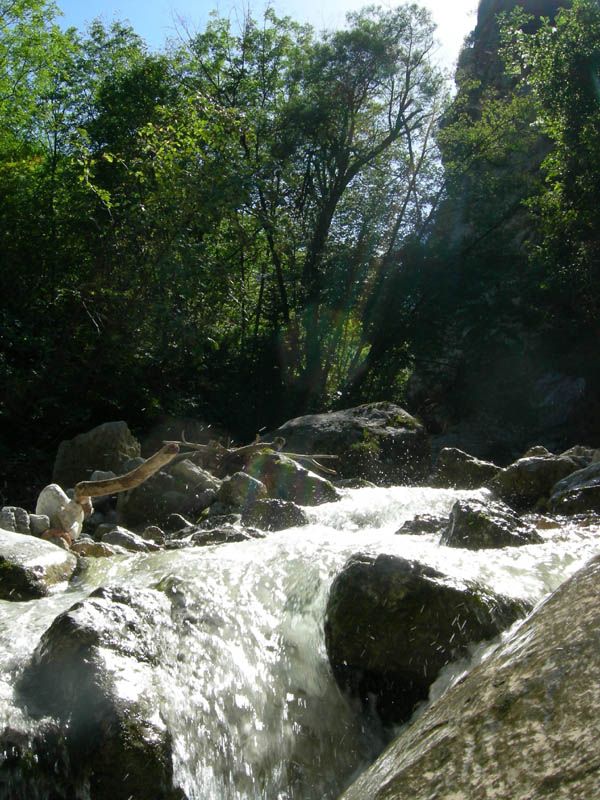 risalita del Torrente Centa.......terza parte