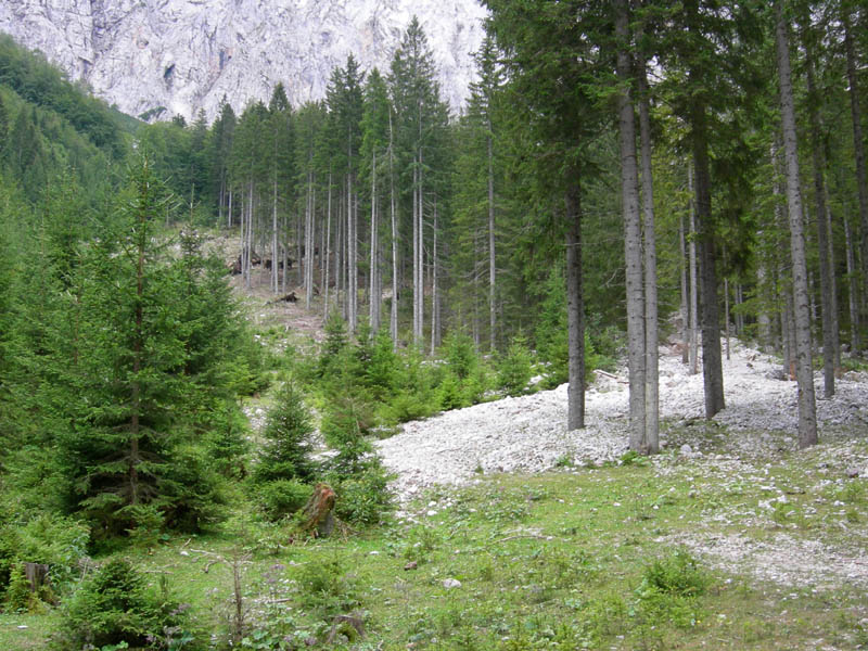 Carinzia (Austria)....a  