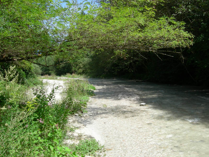 risalita del Torrente Centa.......seconda parte