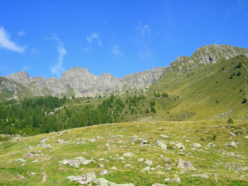 Cimon di Busa della Neve  m. 2574.......escursione