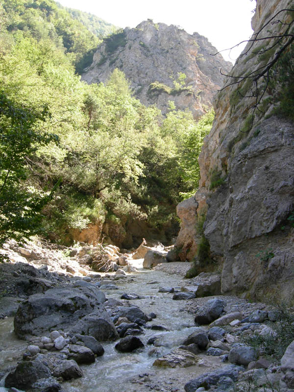 risalita del Torrente Centa.......terza parte