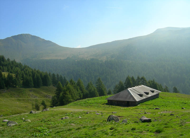 Cimon di Busa della Neve  m. 2574.......escursione