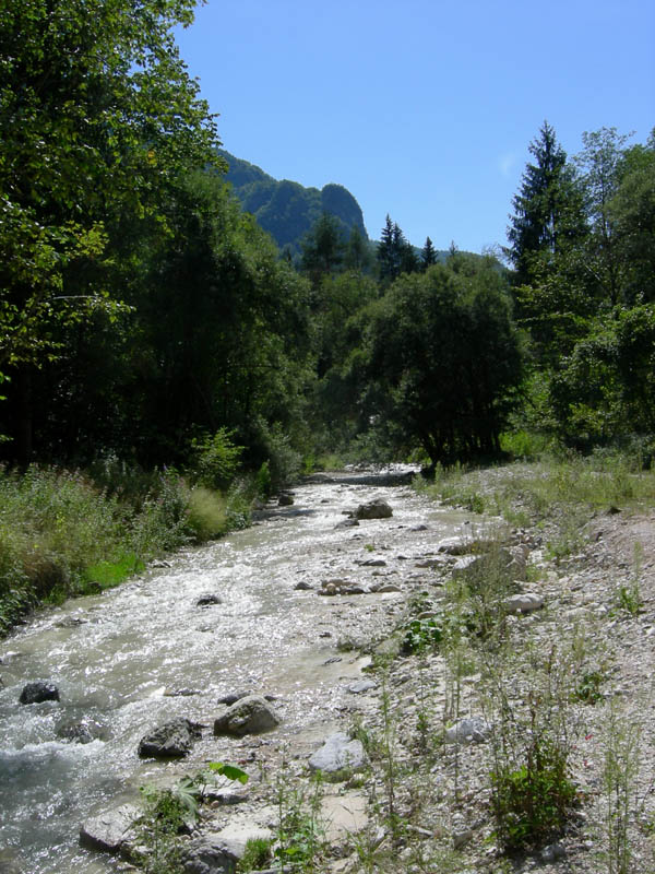 risalita del Torrente Centa.......seconda parte