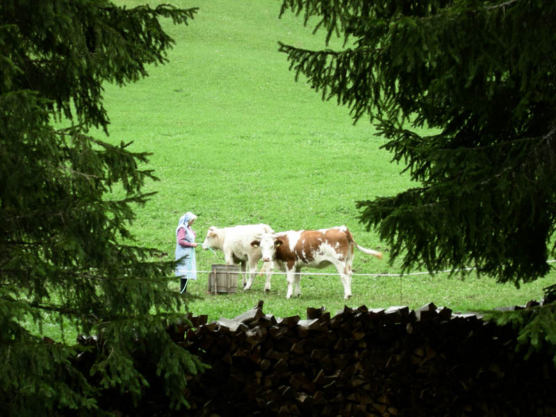 Carinzia (Austria)....a  