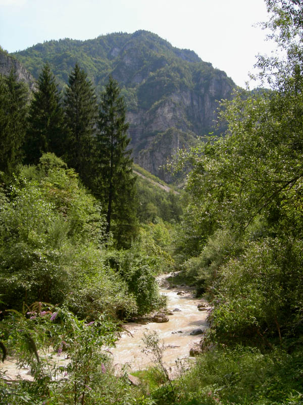 risalita del Torrente Centa.......seconda parte