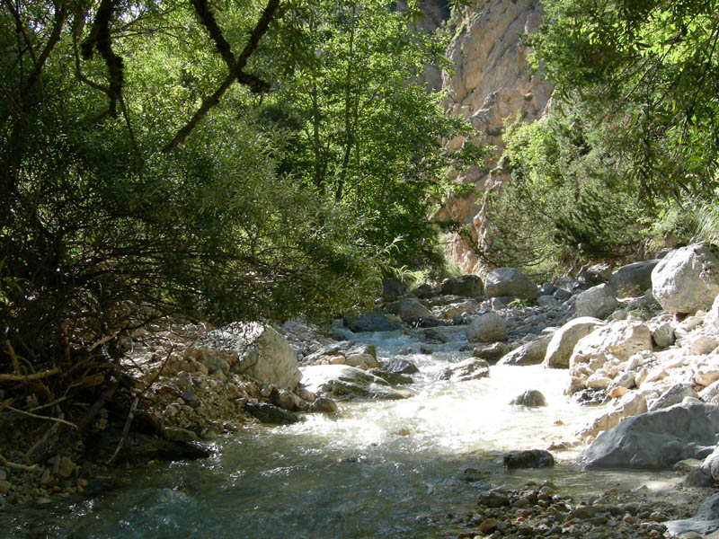 risalita del Torrente Centa.......terza parte