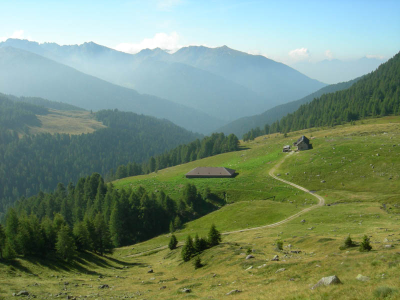 Cimon di Busa della Neve  m. 2574.......escursione