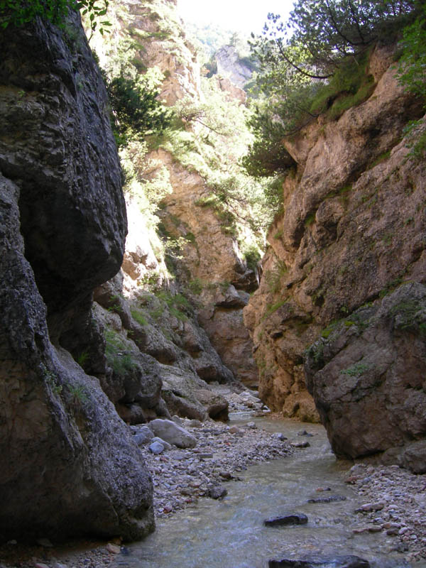 risalita del Torrente Centa.......terza parte