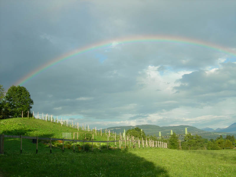 Carinzia (Austria)....a  
