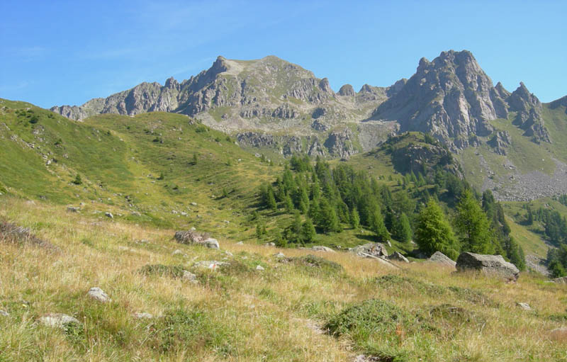 Cimon di Busa della Neve  m. 2574.......escursione