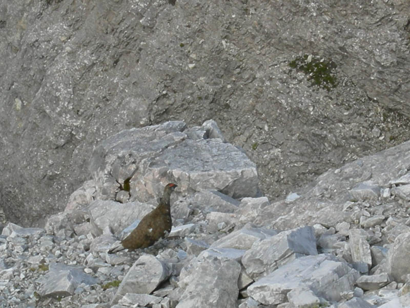 Monte Cavallo e Cime Bianche di Telves.......escursione
