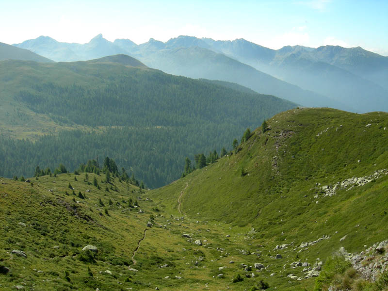 Cimon di Busa della Neve  m. 2574.......escursione