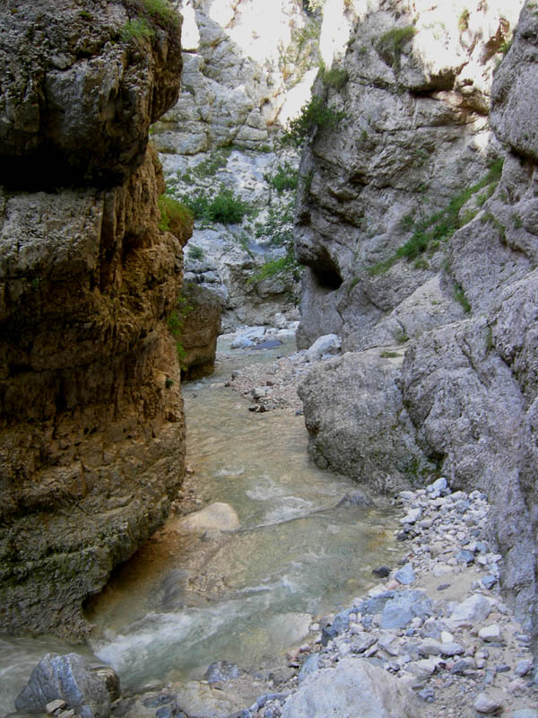 risalita del Torrente Centa.......terza parte
