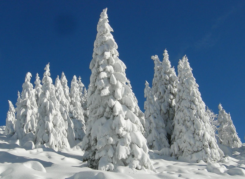 Cornetto m.2060....della Vigolana