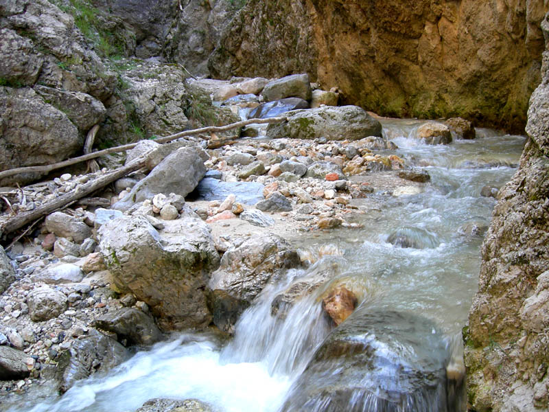 risalita del Torrente Centa.......terza parte