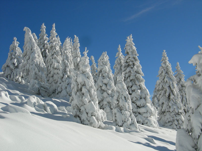 Cornetto m.2060....della Vigolana