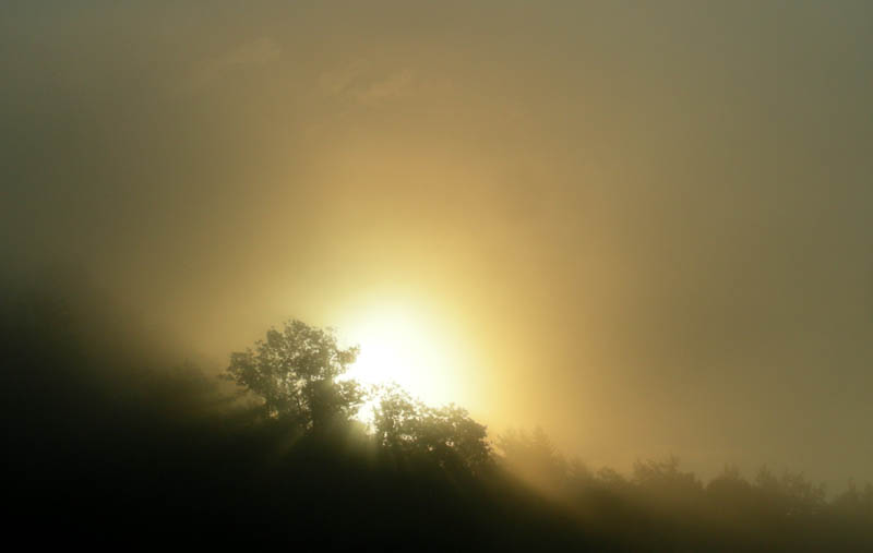 Carinzia (Austria)....a  