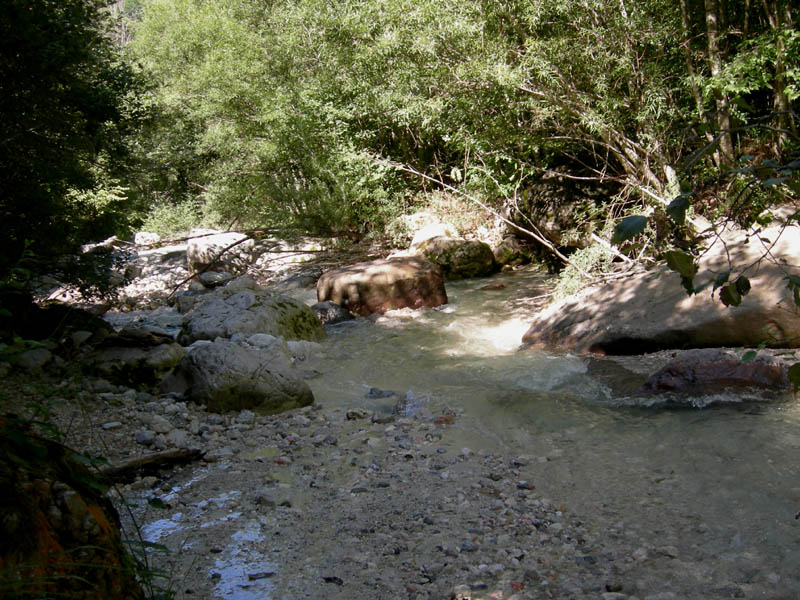risalita del Torrente Centa.......seconda parte