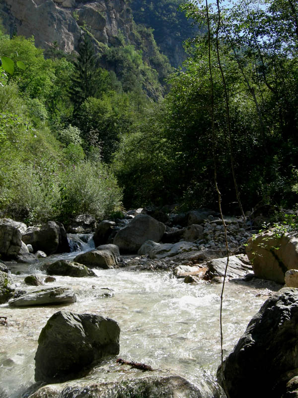 risalita del Torrente Centa.......seconda parte