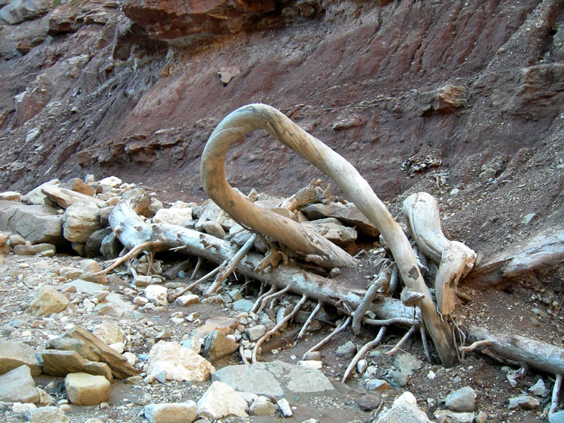Sentiero geologico 