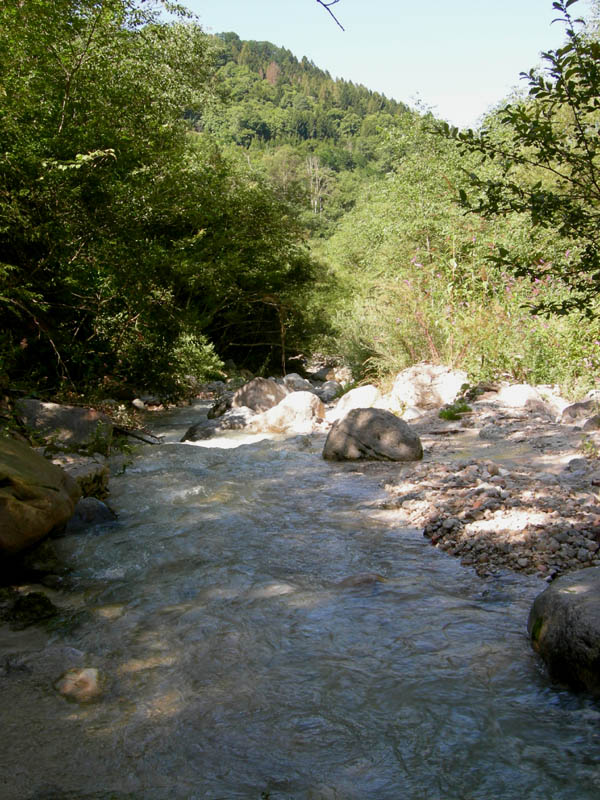risalita del Torrente Centa.......seconda parte