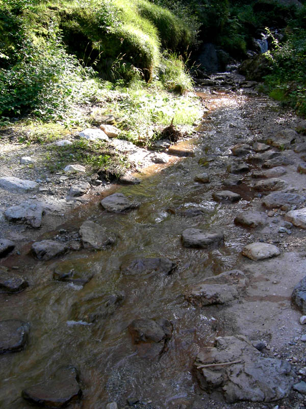 risalita del Torrente Centa.......seconda parte