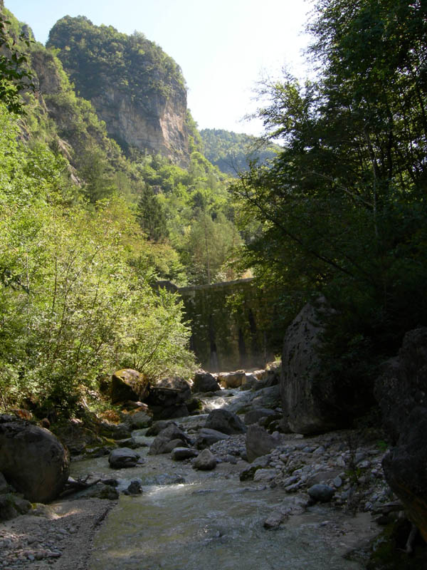 risalita del Torrente Centa.......seconda parte